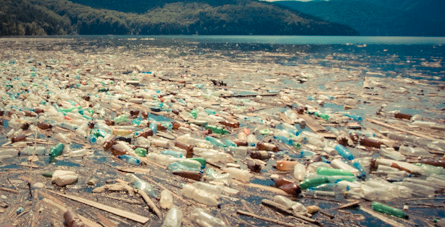 Mit Plastikflaschen vermüllter Strand